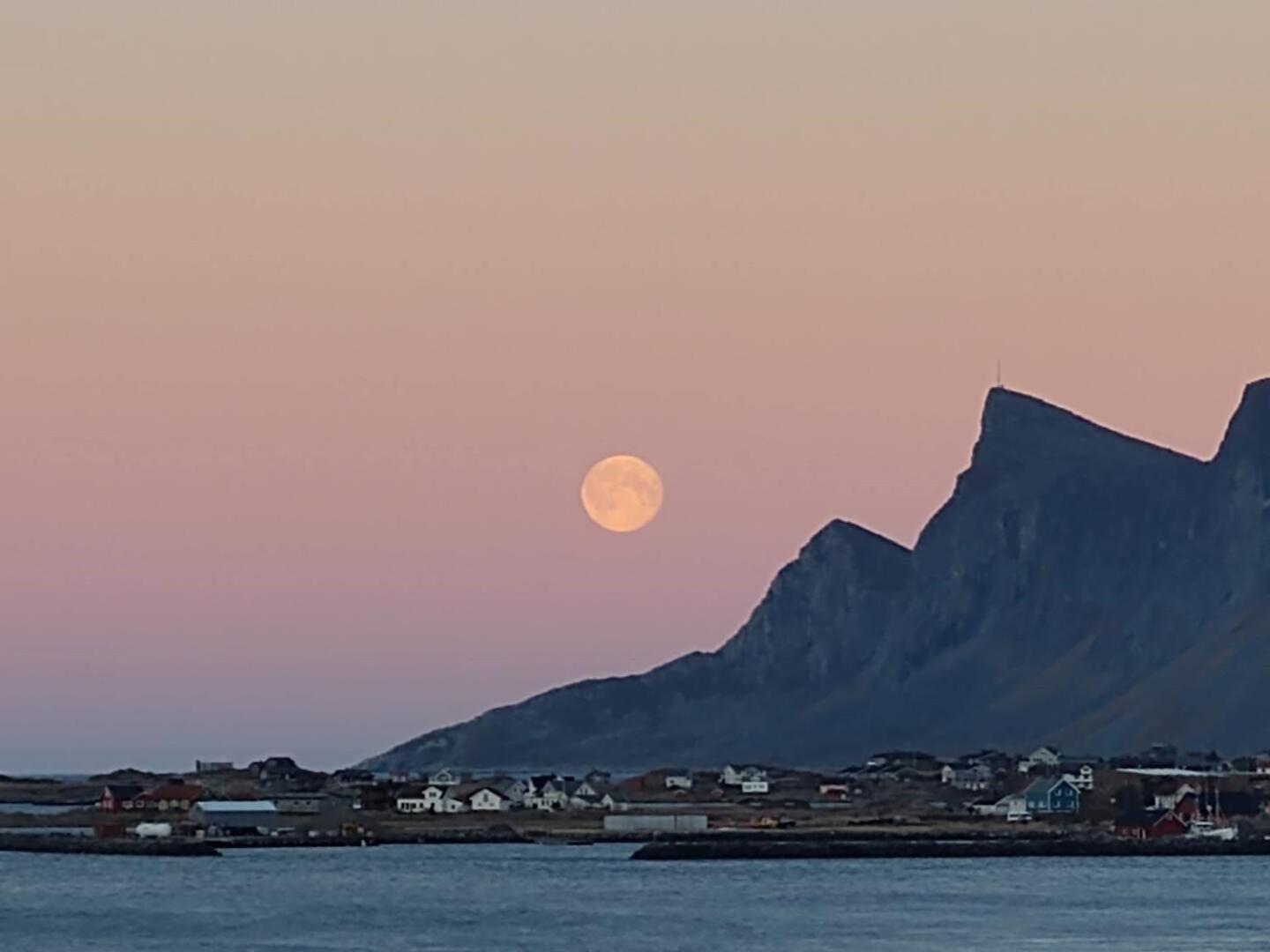 Fredvang Farm House - Lofoten 외부 사진