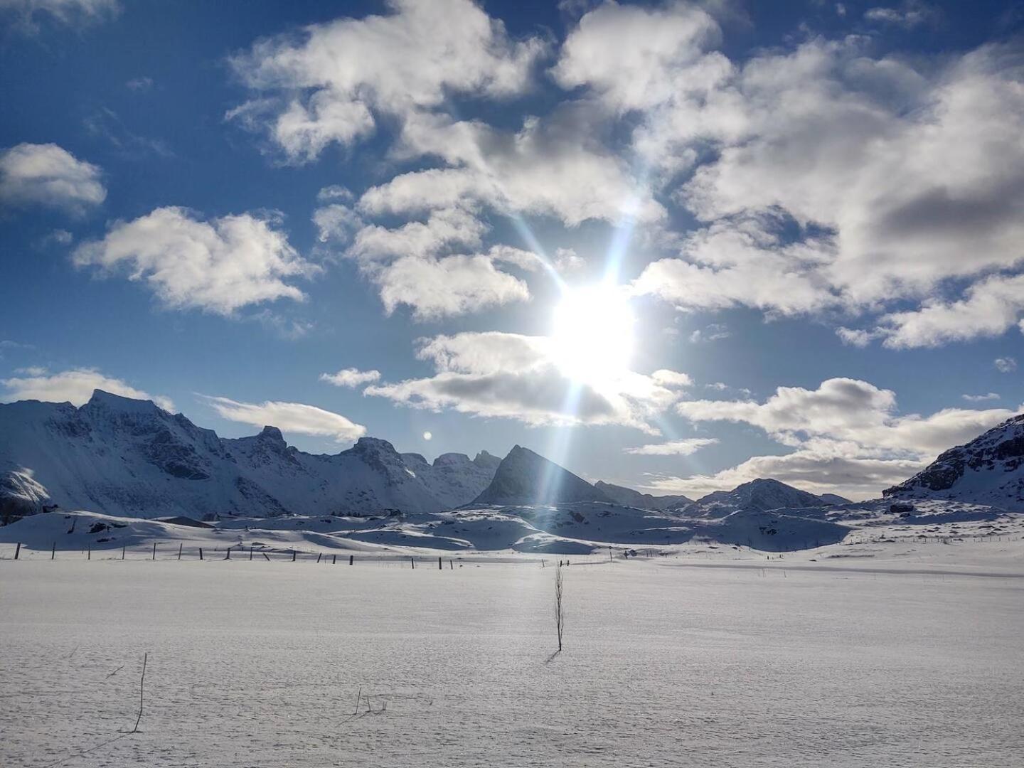 Fredvang Farm House - Lofoten 외부 사진