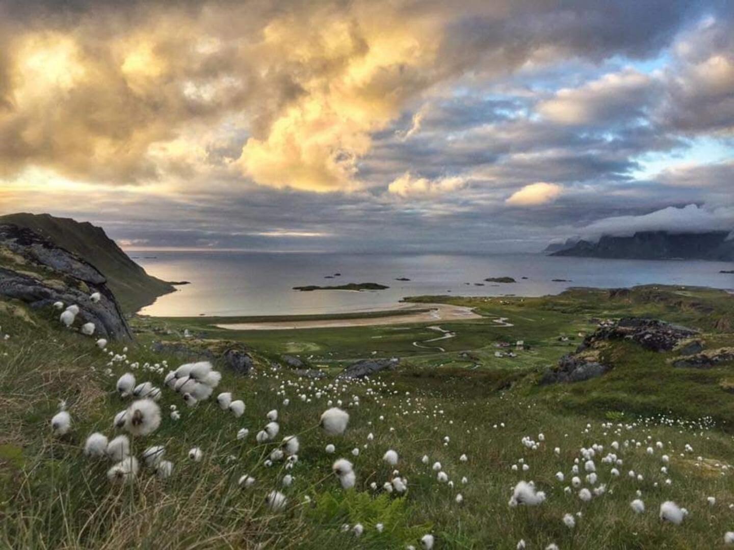 Fredvang Farm House - Lofoten 외부 사진