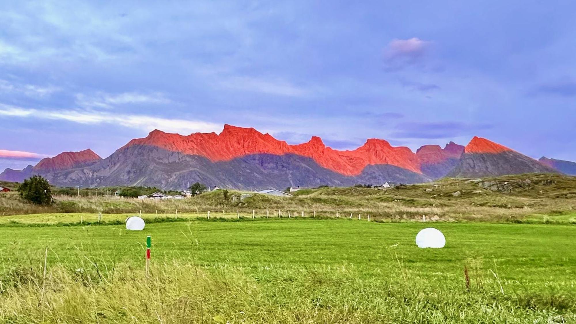 Fredvang Farm House - Lofoten 외부 사진